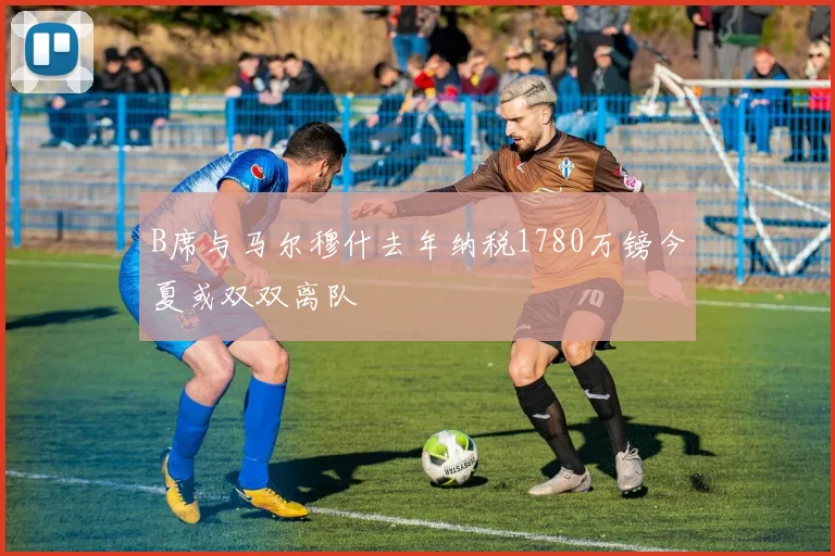 B席与马尔穆什去年纳税1780万镑今夏或双双离队